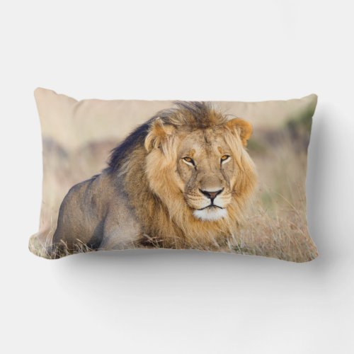 Majestic lion photo lumbar pillow