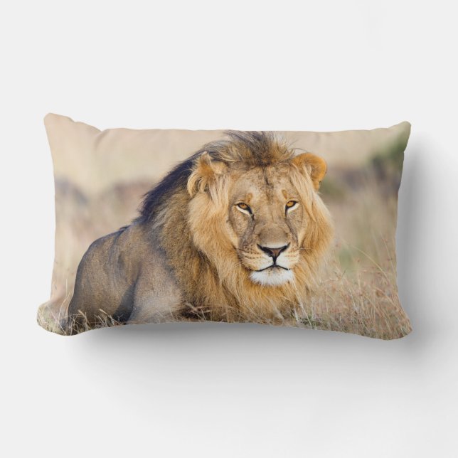 Majestic lion photo lumbar pillow (Front)