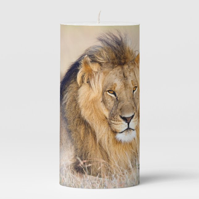 Majestic lion photo pillar candle (Front)