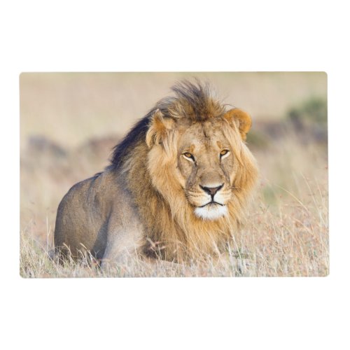 Majestic lion photo placemat