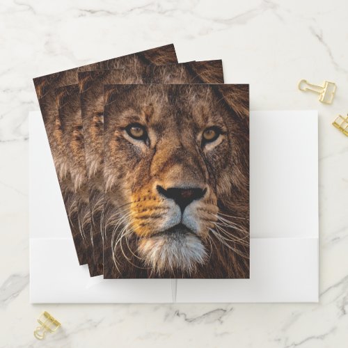 Majestic Lion Pocket Folder