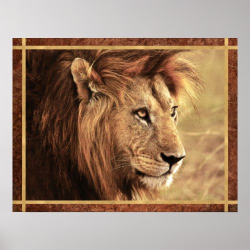 Majestic Lion Sideway Photo Poster