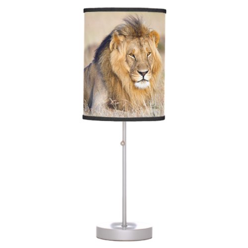 Majestic lion table lamp