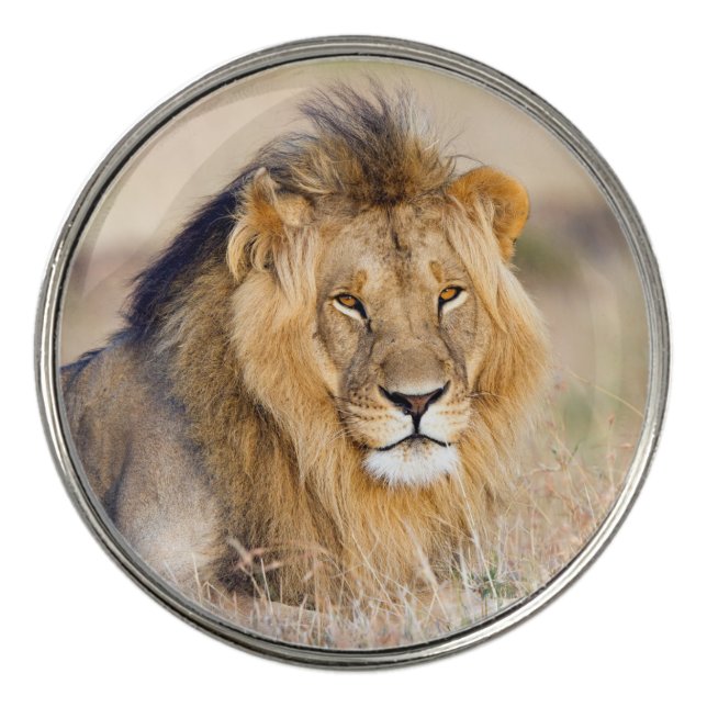 Majestic lion wild animal photo  golf ball marker (Front)