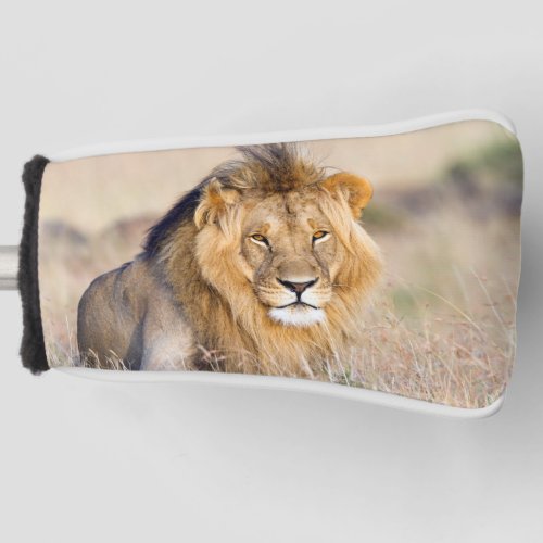 Majestic lion wild animal photo golf head cover