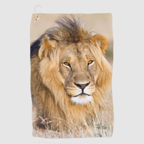 Majestic lion wild animal portrait photo golf towel