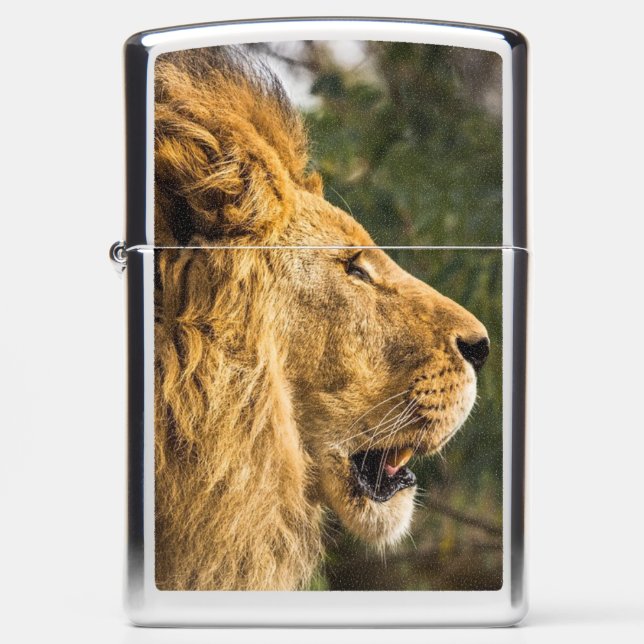 Majestic Lion Zippo Lion Lighter (Front)