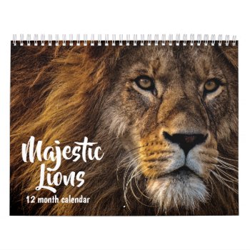 Majestic Lions 2024 Calendar by MiscellanyShop at Zazzle