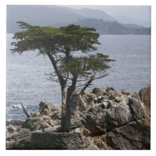 Majestic Lone Pine Iconic Beauty of California Ceramic Tile