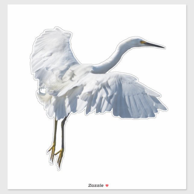 Majestic looking snowy egret  sticker (Sheet)