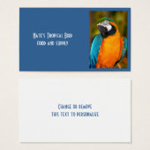 Majestic Macaw (Front & Back)