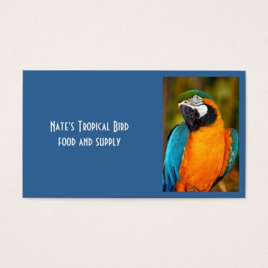 Majestic Macaw (Front)