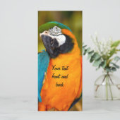 Majestic Macaw (Standing Front)