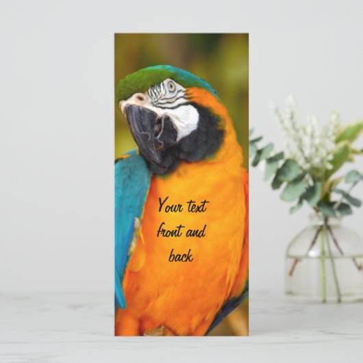 Majestic Macaw (Standing Front)