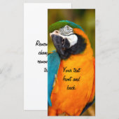 Majestic Macaw (Front/Back)