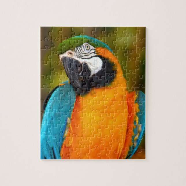 Majestic Macaw Jigsaw Puzzle (Vertical)