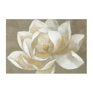 Majestic Magnolia Acrylic Print