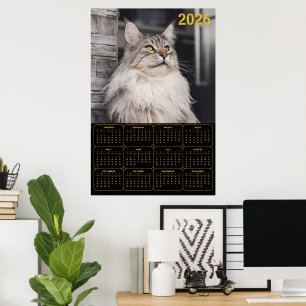 Majestic Maine Coon Cat – 2026 Wall Calendar Poster