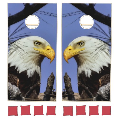 Majestic Mature Bald Eagle Close Up Cornhole Set