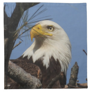 Majestic Mature Bald Eagle in Nest Cloth Napkin