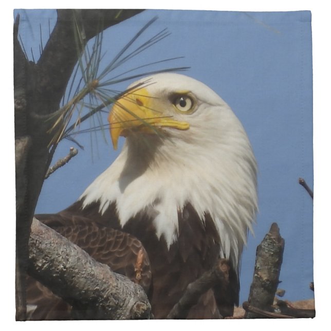 Majestic Mature Bald Eagle in Nest Cloth Napkin (Front)
