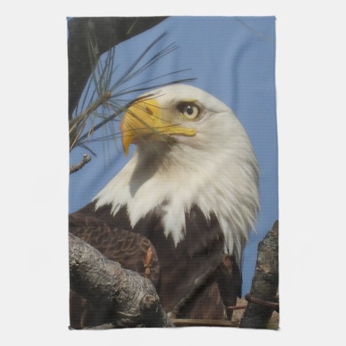 Majestic Mature Bald Eagle in Nest Kitchen Towel