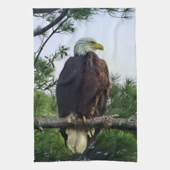 Majestic Mature Bald Eagle Perched in Tree  Kitchen Towel (Vertical)