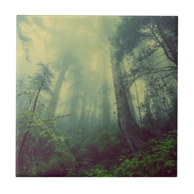 Majestic Misty Forest Ceramic Tile (Front)