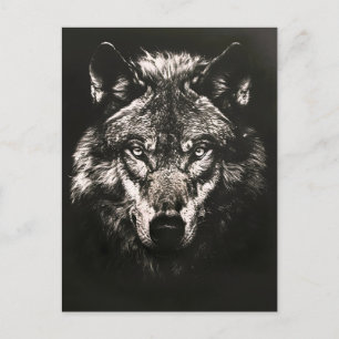 Majestic Monochrome Wild Wolf Holiday Postcard