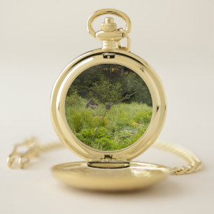 Majestic Moose Gold Pocket Watch - AK wilderness