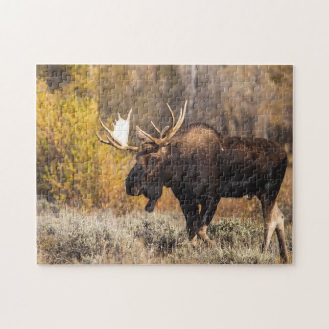 Majestic Moose In The Wild Photo Jigsaw Puzzle (Horizontal)