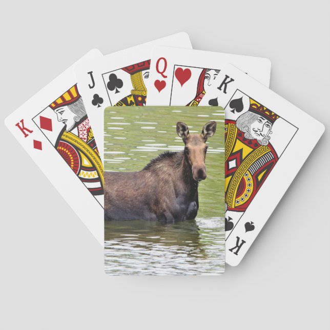 Majestic Moose Poker Cards (Back)