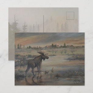 Majestic Moose Postcard