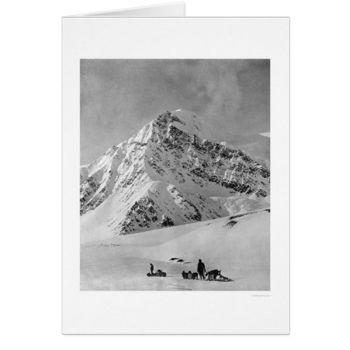 Majestic Mt McKinley 1908