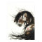 Majestic Mustang Pinto Horse by BiHrLe Poster