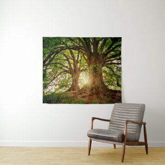 Majestic Old Oak Trees in Sunlit Forest Tapestry