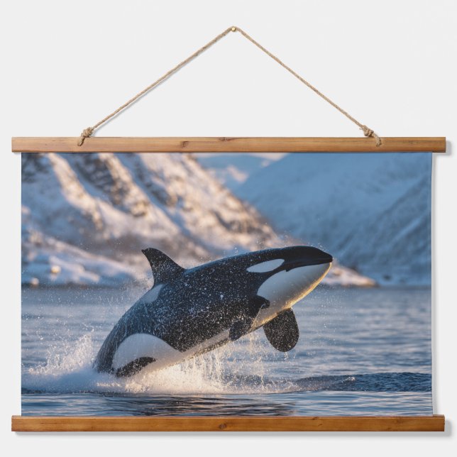 Majestic Orca Arctic Splash Wildlife Wall Art (Front)