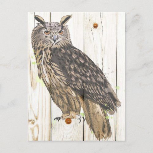 Majestic owl on faded wood planks postcard