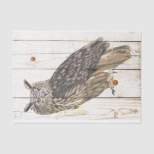 Majestic owl on faded wood planks tissue paper