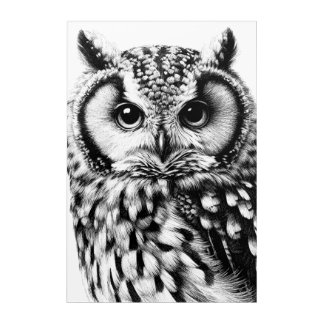 Majestic Owl Portrait 20x30" Acrylic Wall Art
