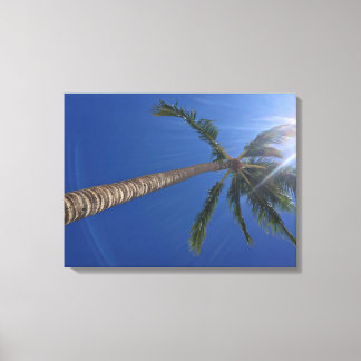 Majestic Palm Tree with Sun Rays Canvas Print