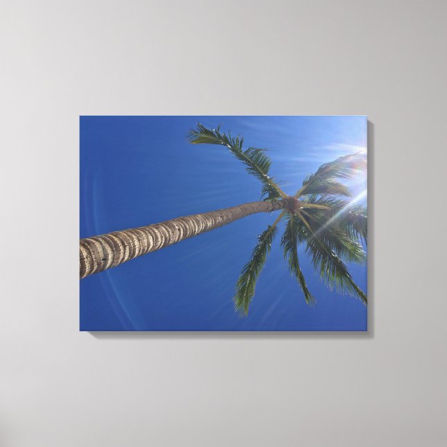 Majestic Palm Tree with Sun Rays Canvas Print (Front)