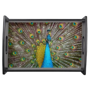 Majestic Peacock Bird With Royal Plumage Serving Tray by CandiCreations at Zazzle