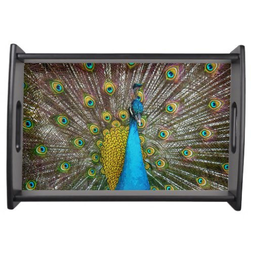 Majestic Peacock Bird with Royal Plumage Serving Tray