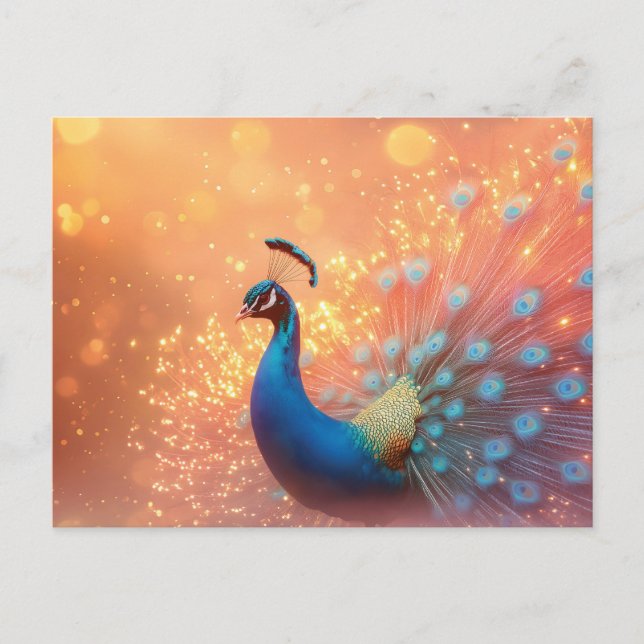 Majestic Peacock with Vibrant Plumage  Postcard (Front)