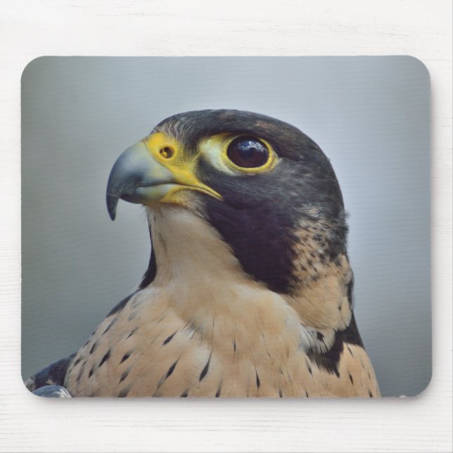 Majestic Peregrine falcon Mouse Pad (Front)