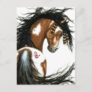 Majestic Pinto Paint Horse by Bihrle Post Card