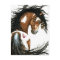 Majestic Pinto Paint Horse by Bihrle Post Card