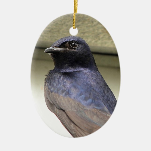 Majestic Purple Martin Ceramic Ornament (Front)