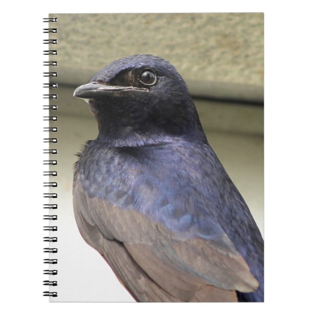Majestic Purple Martin Notebook (Front)